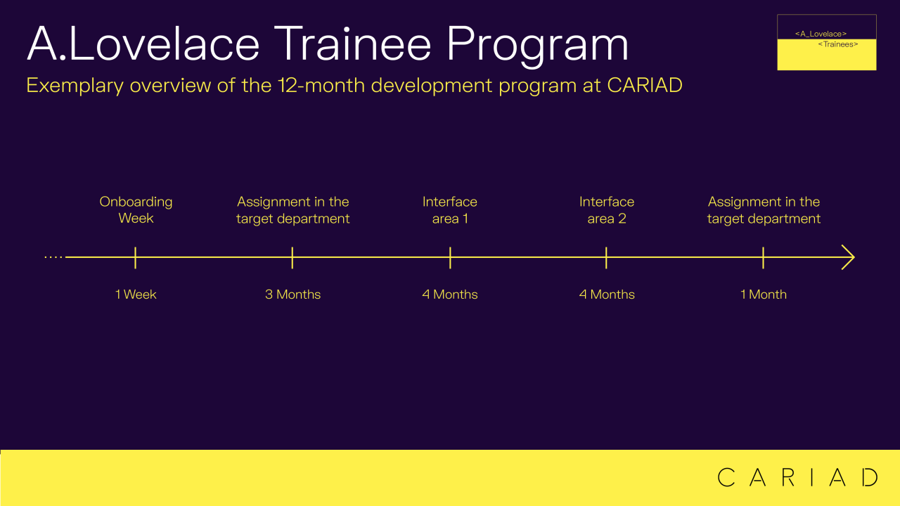 Network, develop, feedback: The trainee program at a glance 